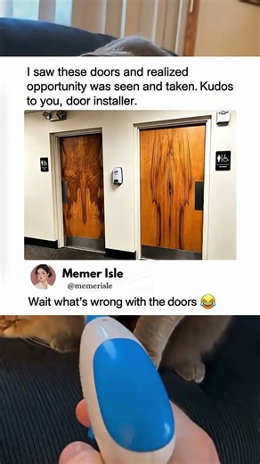 I Saw These Doors And Realized Opportunity Was Taken 😂🚪 #filtertiktok