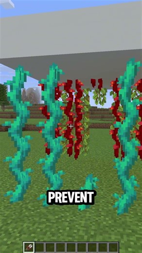 2 Truths 1 Lie | Part 21 #minecraft