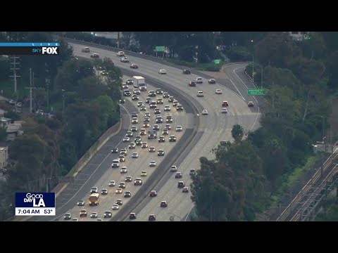 One year after the LA wildfires