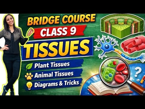 Class 9 Science | Bridge Course | Tissues | One Shot | Biology |Quick Revision NCERT | CBSE New Book