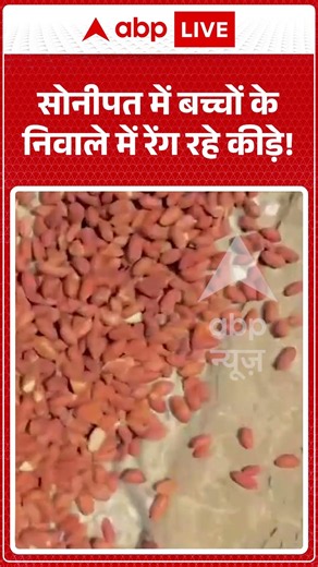 Anganwadi News : सोनीपत में बच्चों के निवाले में रेंग रहे कीड़े! | #anganwadi #foodcontroversy