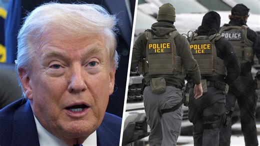 DEM strategist breaks down how the party should approach immigration in the midterms