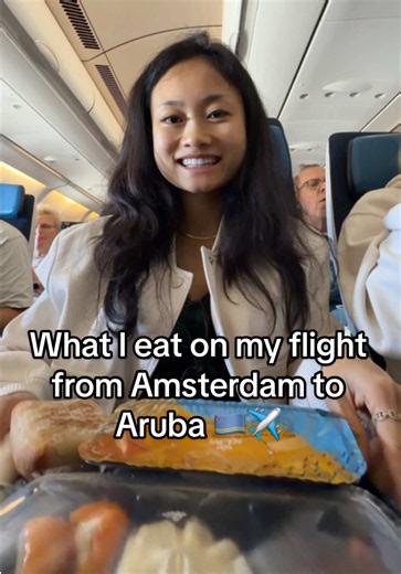 What I Eat on My Flight from Amsterdam to Aruba (KLM Economy)