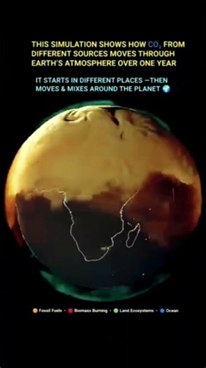 This is how carbon dioxide moves from different sources to the earth's surface.