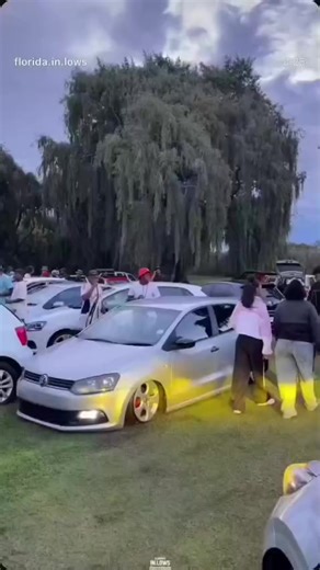 Trending Reels & Viral Videos