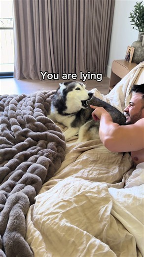 My Husky Gets Mad When I Tell Her She Is Stinky 😳👀 | dog