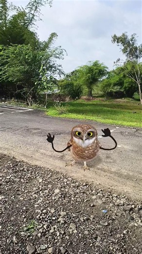 ullu #shortsfeed # #youtubeshorts #trendingshorts #viralshorts #funnyshorts #comedyshorts