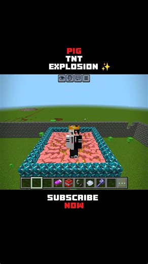 Minecraft TNT Best Pig Explosion 🐽✨ #minecraft #minecraftshorts #explosion #gaming #trendingshorts