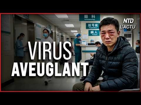En Chine un virus marin franchit la barrière des espèces et affecte la vue
