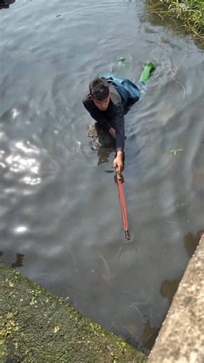 Underwater Fish Explosion… Biggest Feeding Frenzy Ever!