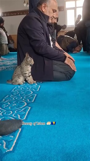 Beauty of Islam and the Mosque