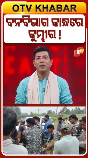 ବନ ବିଭାଗ କାନ୍ଧରେ କୁମ୍ଭୀର #OTVShorts