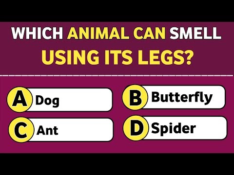 Can You Beat This 20-Question General Knowledge Challenge? 🧠💥