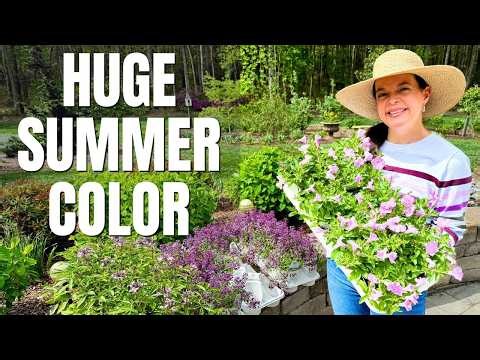What We Planted for HUGE Summer Color (Patio Garden Redesign!)