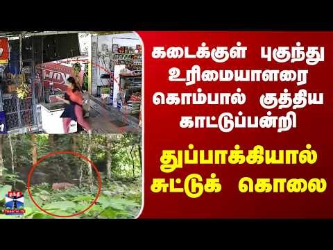 Kerala Wild Boar Attack | கடைக்குள் புகுந்து உரிமையாளரை கொம்பால் குத்திய காட்டுப்பன்றி