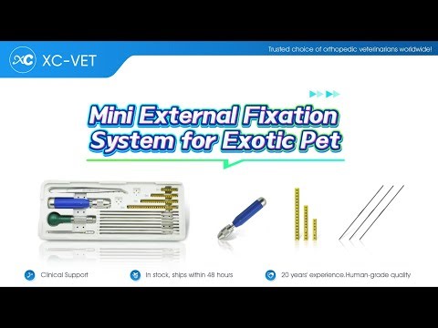 Mini External Fixation System for Exotic Pet