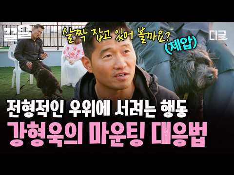 [#고독한훈련사] 갑자기 마운팅하는 강아지?!🫨 강형욱이 알려주는 보호자의 올바른 대응법🐶