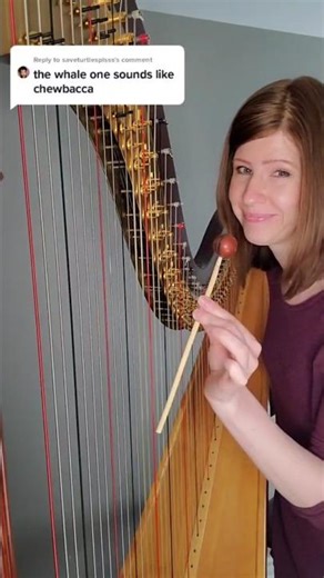 Chewbacca sound effect