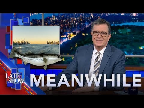 Meanwhile... Lower Your Dementia Risk | Runcations | Eat Fish From The Hudson River