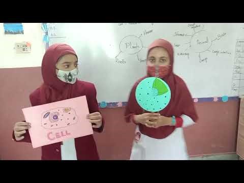 Meet the Cell City 🧫 | Fun Role Play Activity for Grade 6 Science