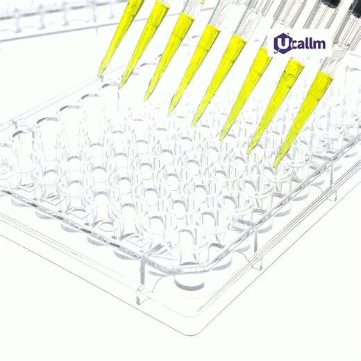 Can ELISA Plates Be Reused? A Guide for Researchers