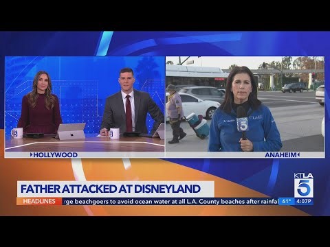 Father seriously injured in fight over line-cutting at Disneyland