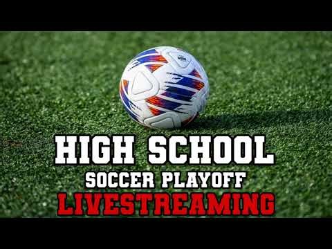Lake View Vs Decatur | 2026 High School Boys Soccer Playoff