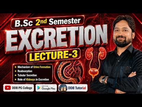 B.Sc.2 Semester Excretion Lec-3