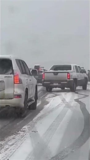 Chaos on Interstate 70 in Colorado #shortvideo #shortsfeed #shorts #short