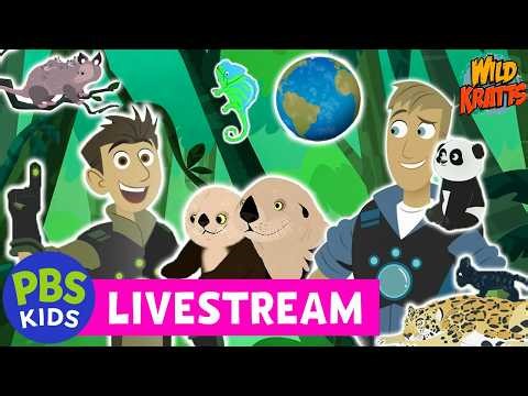 🟢 LIVE | Happy Earth Day from the Wild Kratts! 🌎 Watch Movies, Full Episodes, & Songs 🌱 PBS KIDS
