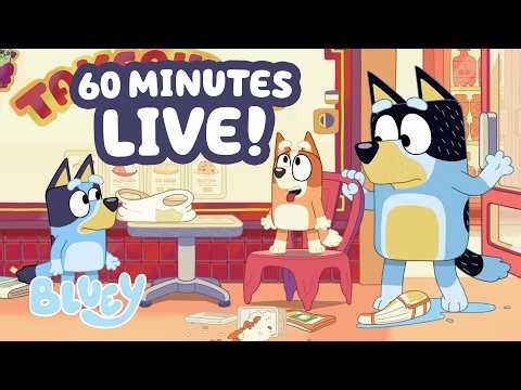 🔴LIVE: Food is Too Spicy for Bingo! 🔥 😆 | Takeaway + 1 HOUR Bluey Clips | Bluey