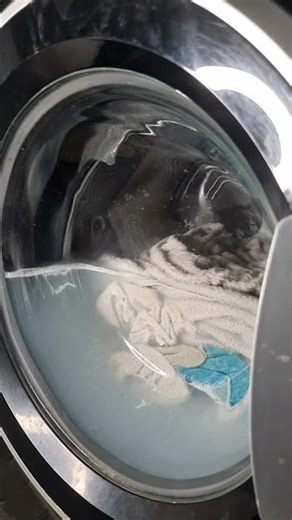 Hotpoint NSWR843C White 60'c Full Cycle