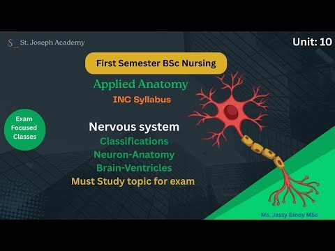 1st Sem BSc nursing | Applied Anatomy| Unit 10 Nervous system| Exam focused classes| INC syllabus