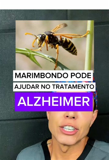 🔥 CONHECE ALGUÉM QUE TEM ALZHEIMER? O Alzheimer não é falta de memória. É inflamação, degeneração e falha metabólica no cérebro. Um estudo brasileiro da Universidade de Brasília mostrou que uma substância derivada da peçonha do marimbondo, isolada e modificada em laboratório, foi capaz de reduzir déficits cognitivos em animais, ao dificultar a formação das placas beta-amiloides associadas à doença. ⚠️ Importante: Isso não significa que alguém deva procurar marimbondos ou se expor a ferroadas. A