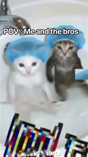 Me and the bros