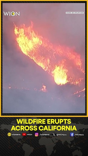 Aerial Footage of Fast-Moving Wildfire Burning in California's Santa Clarita | WION Shorts
