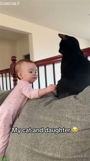 Alien Cat copies owner - TikTok Viral 😵 Crazy Cat!