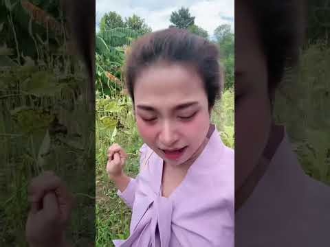 Only A Genius Can Pass This Try Not To Laugh Challenge Eps#11