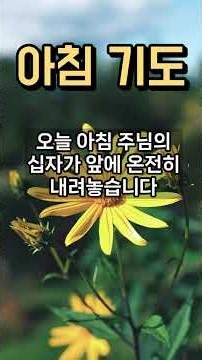[아침 기도] 오늘 하루도 주님의 은혜로 시작합니다
