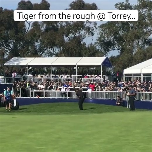 Will Tiger 🐅 chip in?