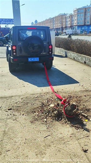 Remove the tree stump