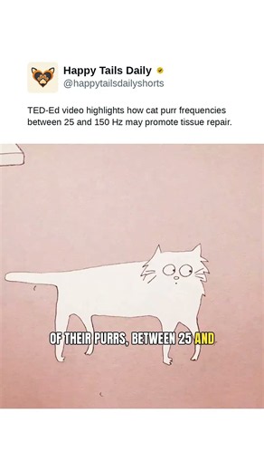 TED-Ed video highlights how cat purr frequencies between 25 and 150 Hz may promote tissue repair.