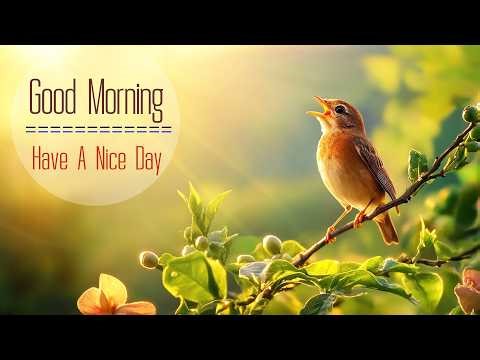 PEACEFUL MORNING MUSIC - Wake Up with Love & Gratitude - Relaxing Music For Positive & Peaceful Mind