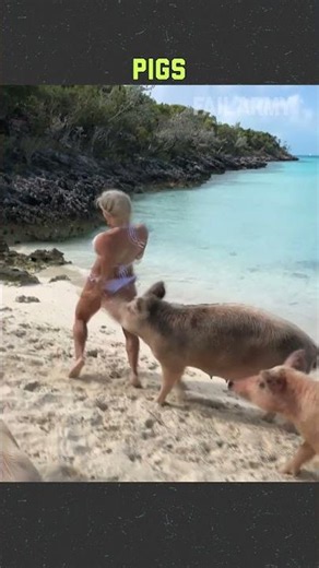 Hilarious animal encounters 😂