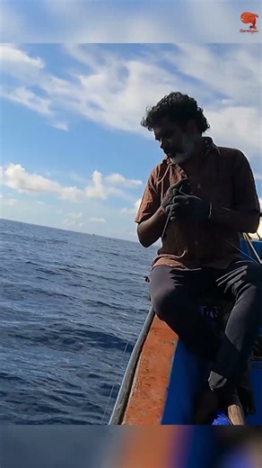 Catching Grouper Fish in the Sea #fishing #fishingvideos #fishingtime
