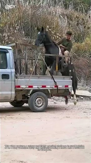 Man Rides Horse into Truck Bed! The Ultimate "Horse Loading" Hack? 🦀🌾