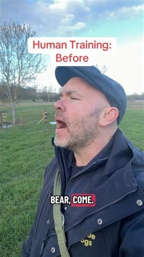 Why Your Dog Ignores Recall (From the Dog’s POV)