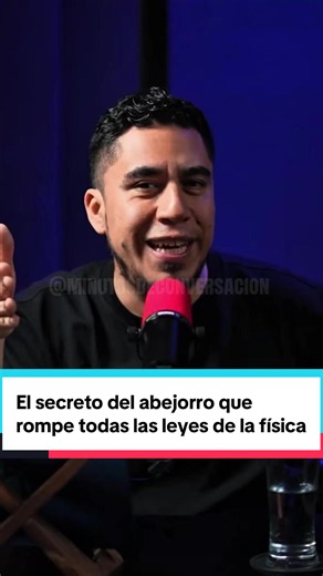 Cómo vuela un abejorro: el experimento que aclara el misterio