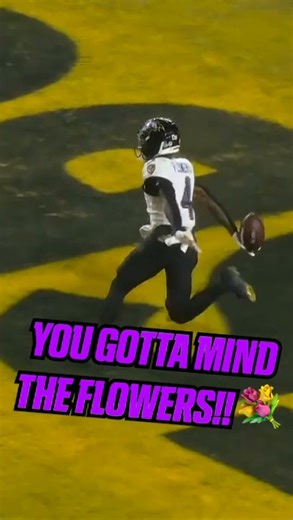 ESPN Aus / NZ on Instagram: "MIND YOUR FLOWERS!! 💐 ZAY FLOWERS GETS FREE AND SCORES AGAIN!! 🍿 GAME ON, FOR THE #NFL AFC NORTH TITLE, LIVE ON DISNEY+ 📺"