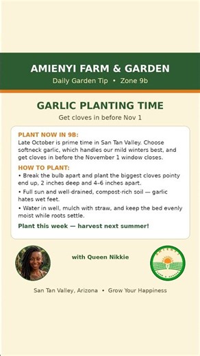 Zone 9b Garden Tip: Garlic Planting Time